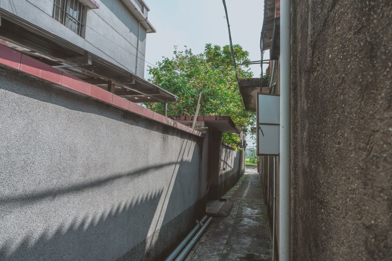 久违的大岭村 久违的大岭村