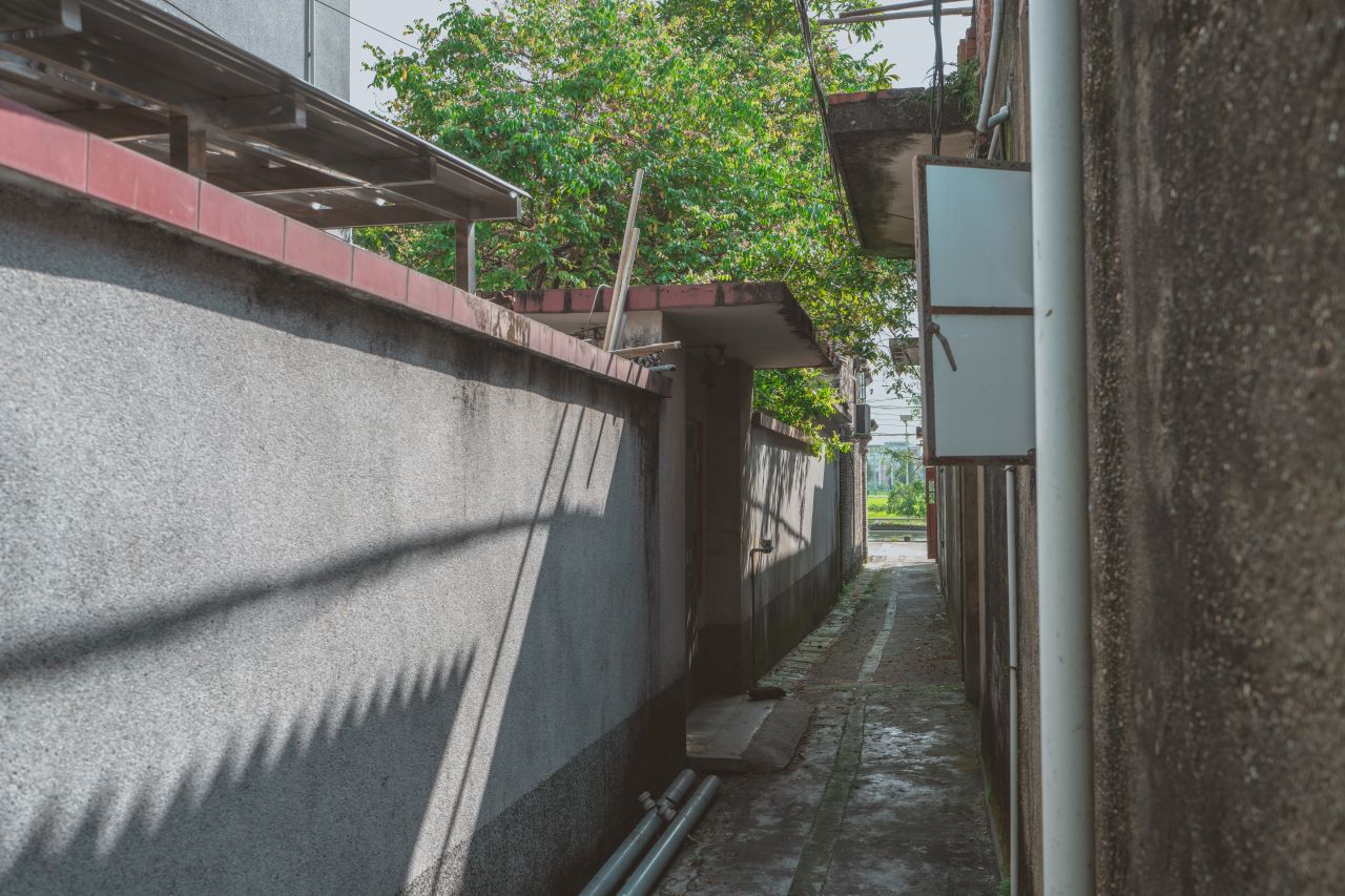 久违的大岭村 久违的大岭村