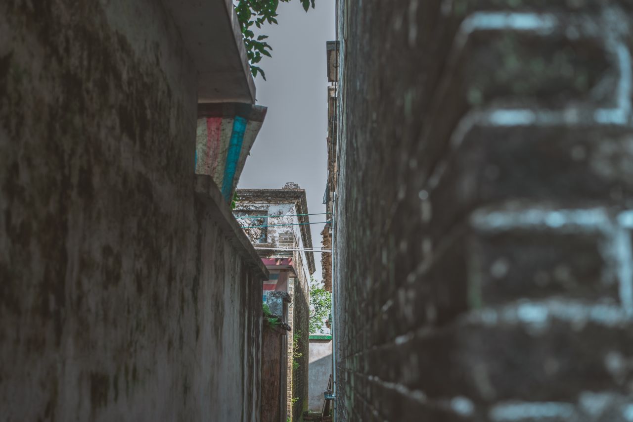 久违的大岭村 久违的大岭村