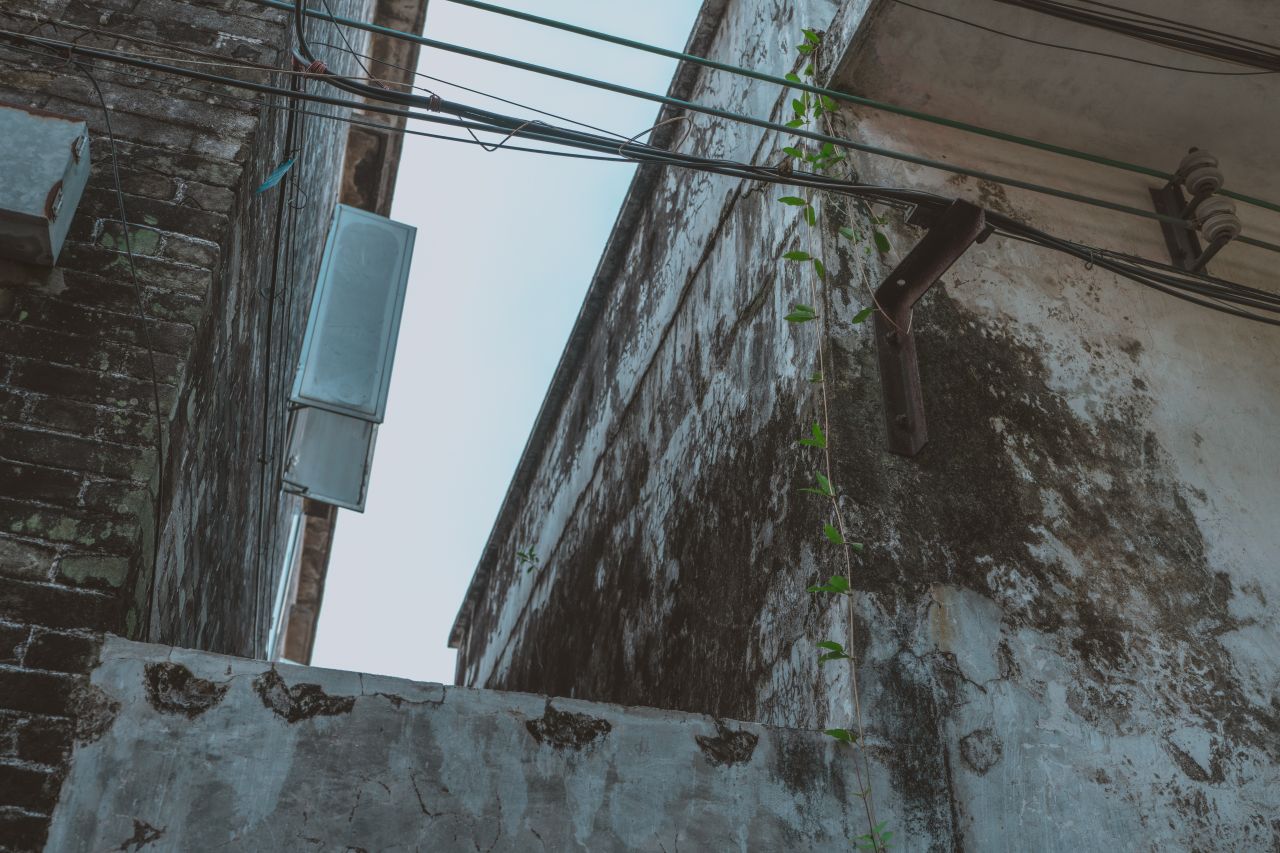 久违的大岭村 久违的大岭村