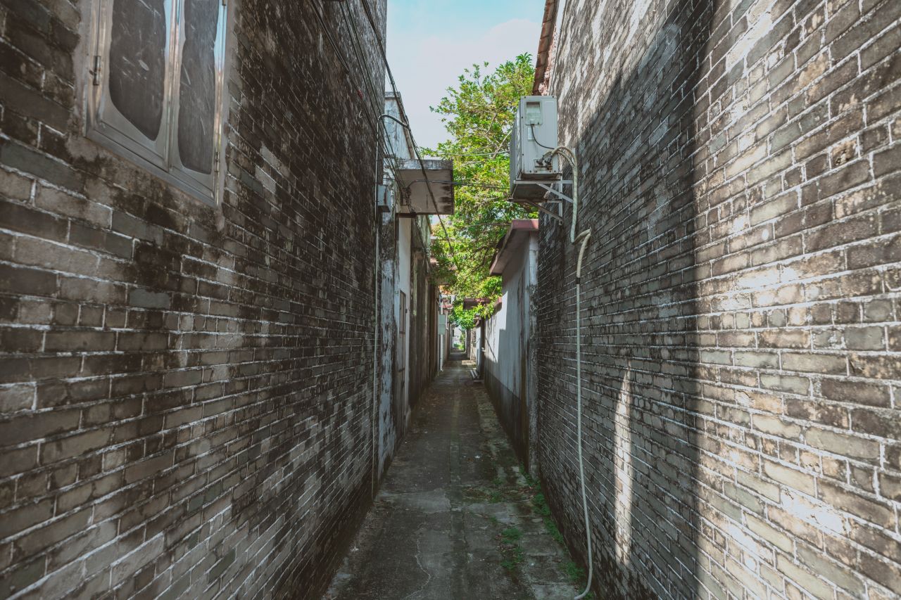 久违的大岭村 久违的大岭村