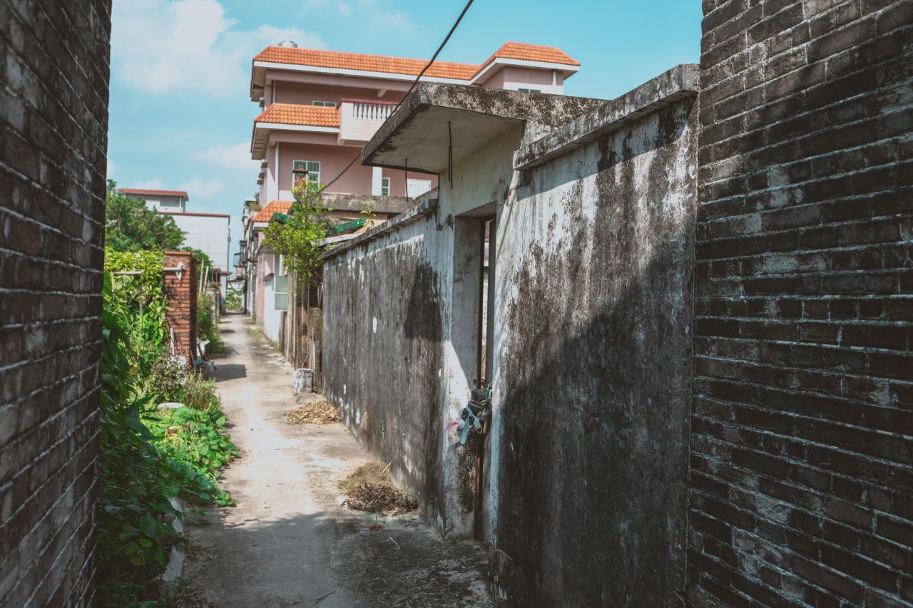 久违的大岭村 久违的大岭村