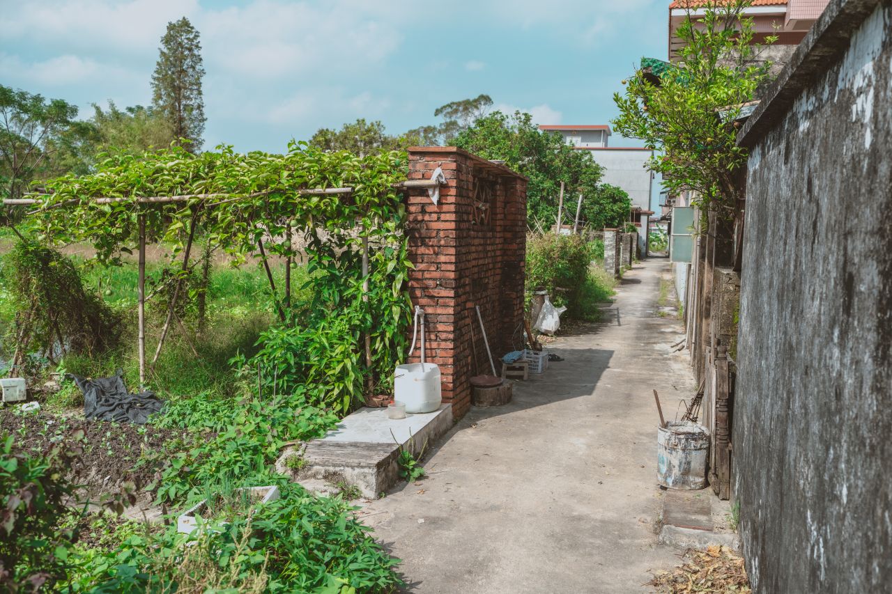 久违的大岭村 久违的大岭村