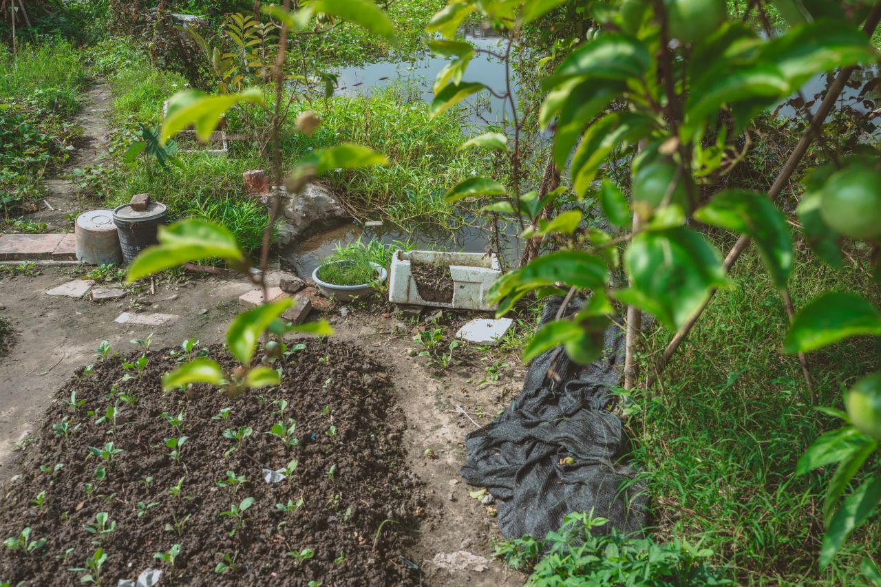 久违的大岭村 久违的大岭村