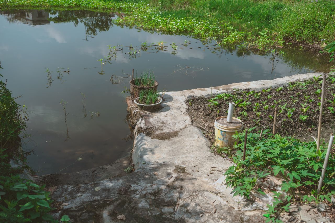 久违的大岭村 久违的大岭村