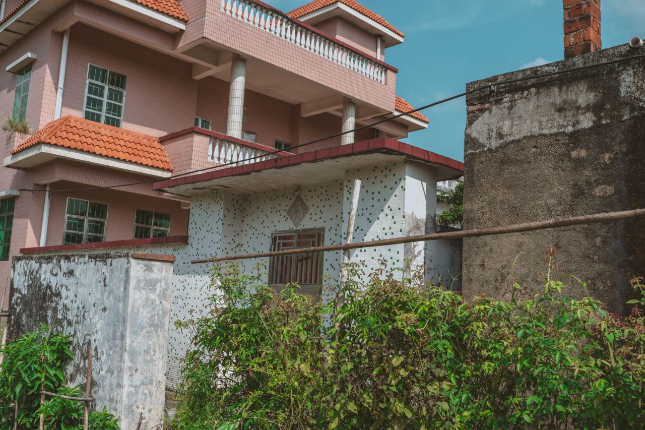 久违的大岭村 久违的大岭村