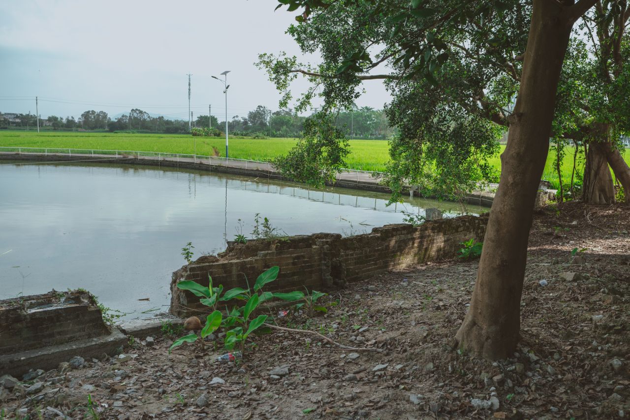 久违的大岭村 久违的大岭村