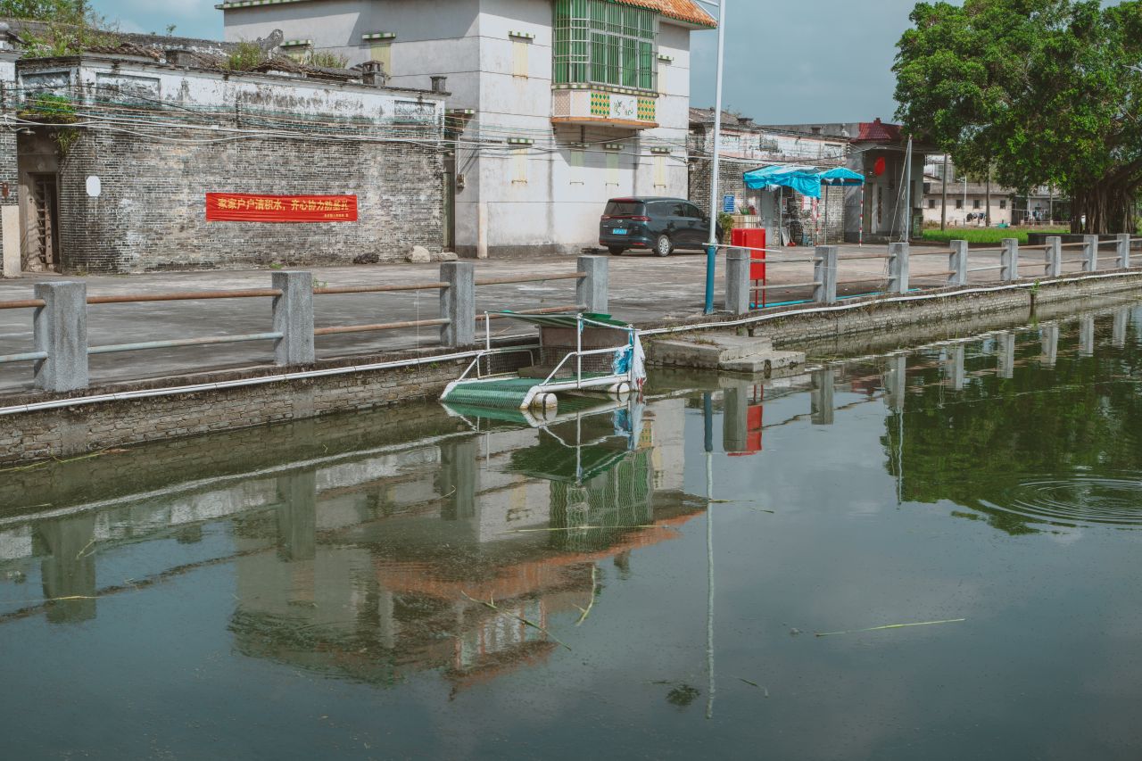 久违的大岭村 久违的大岭村