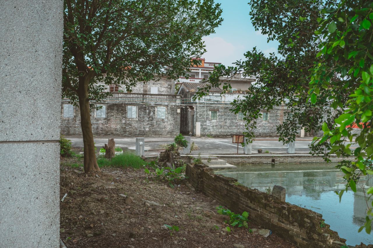 久违的大岭村 久违的大岭村