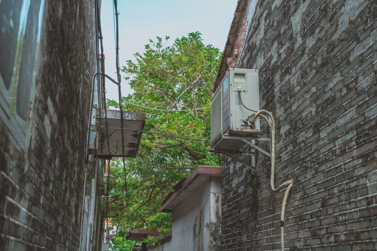 久违的大岭村 久违的大岭村