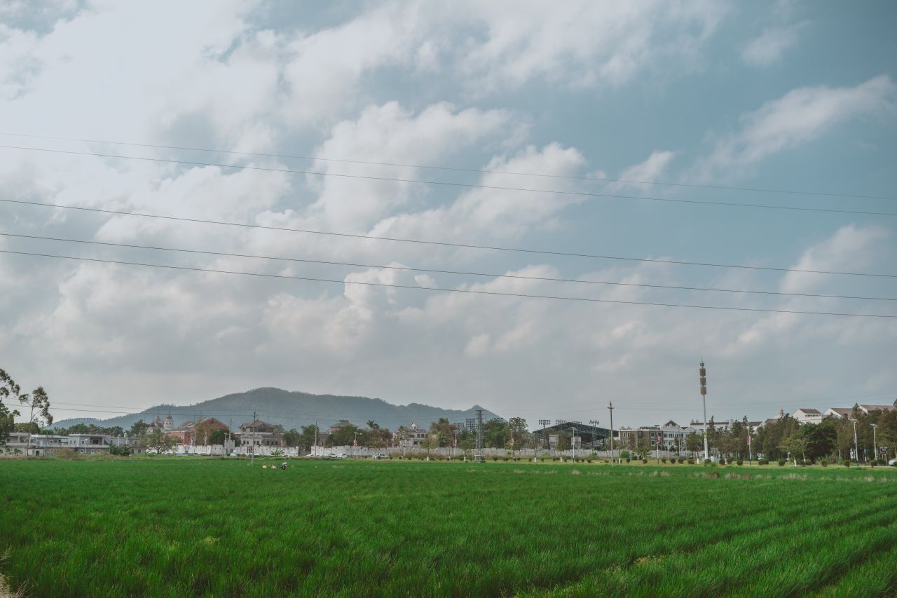 久违的大岭村 久违的大岭村