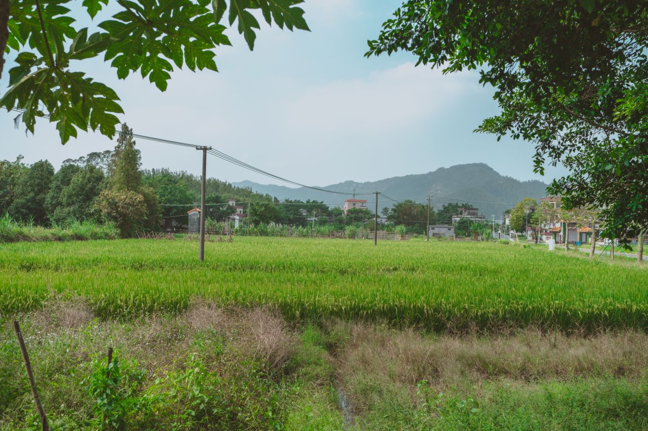 难以忘怀的黄屋村 难以忘怀的黄屋村