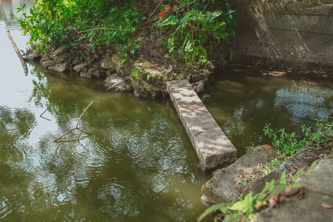 难以忘怀的黄屋村 难以忘怀的黄屋村