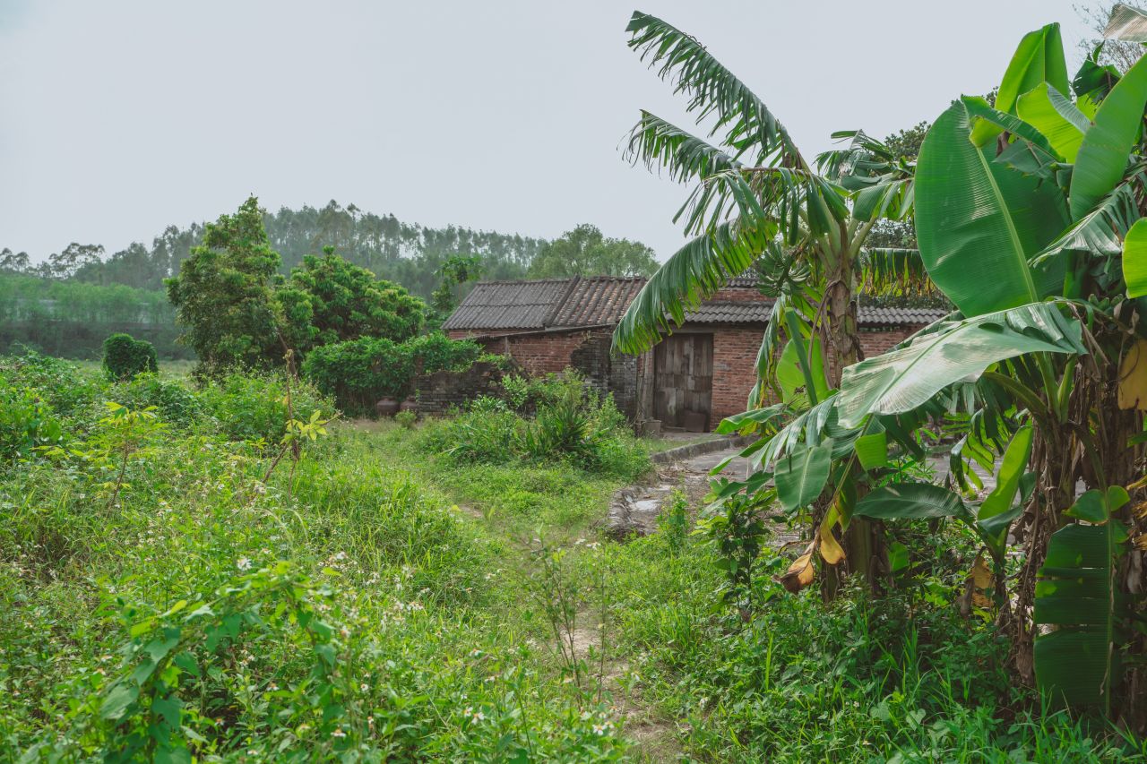 难以忘怀的黄屋村 难以忘怀的黄屋村