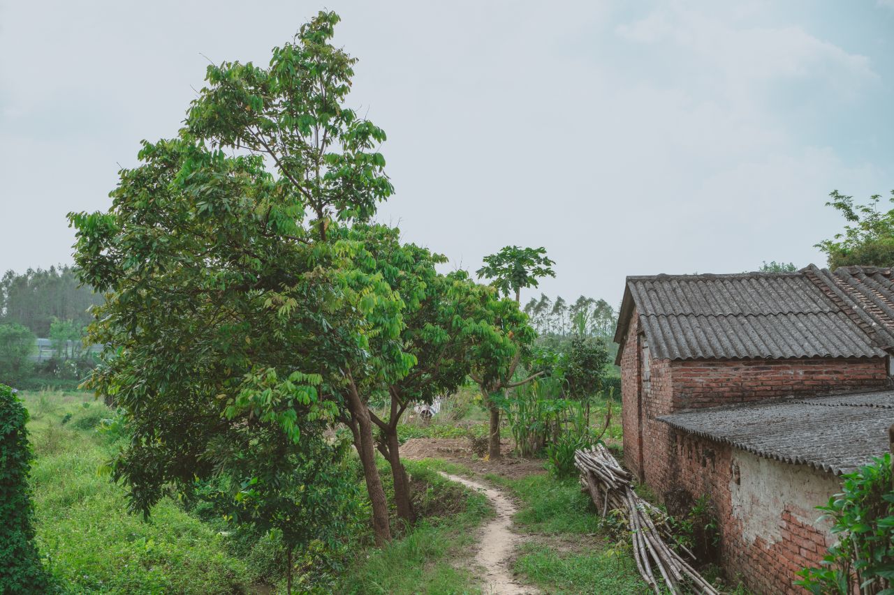 难以忘怀的黄屋村 难以忘怀的黄屋村