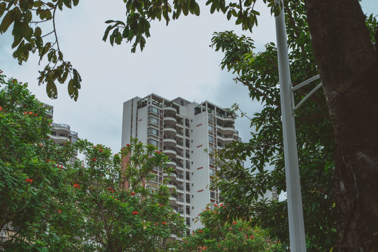 那些不为人知的风采，原来就在祥龙 那些不为人知的风采，原来就在祥龙