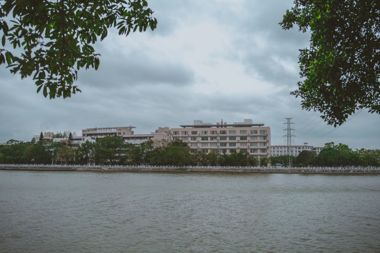 不期而遇不慎的小雨滴 不期而遇不慎的小雨滴