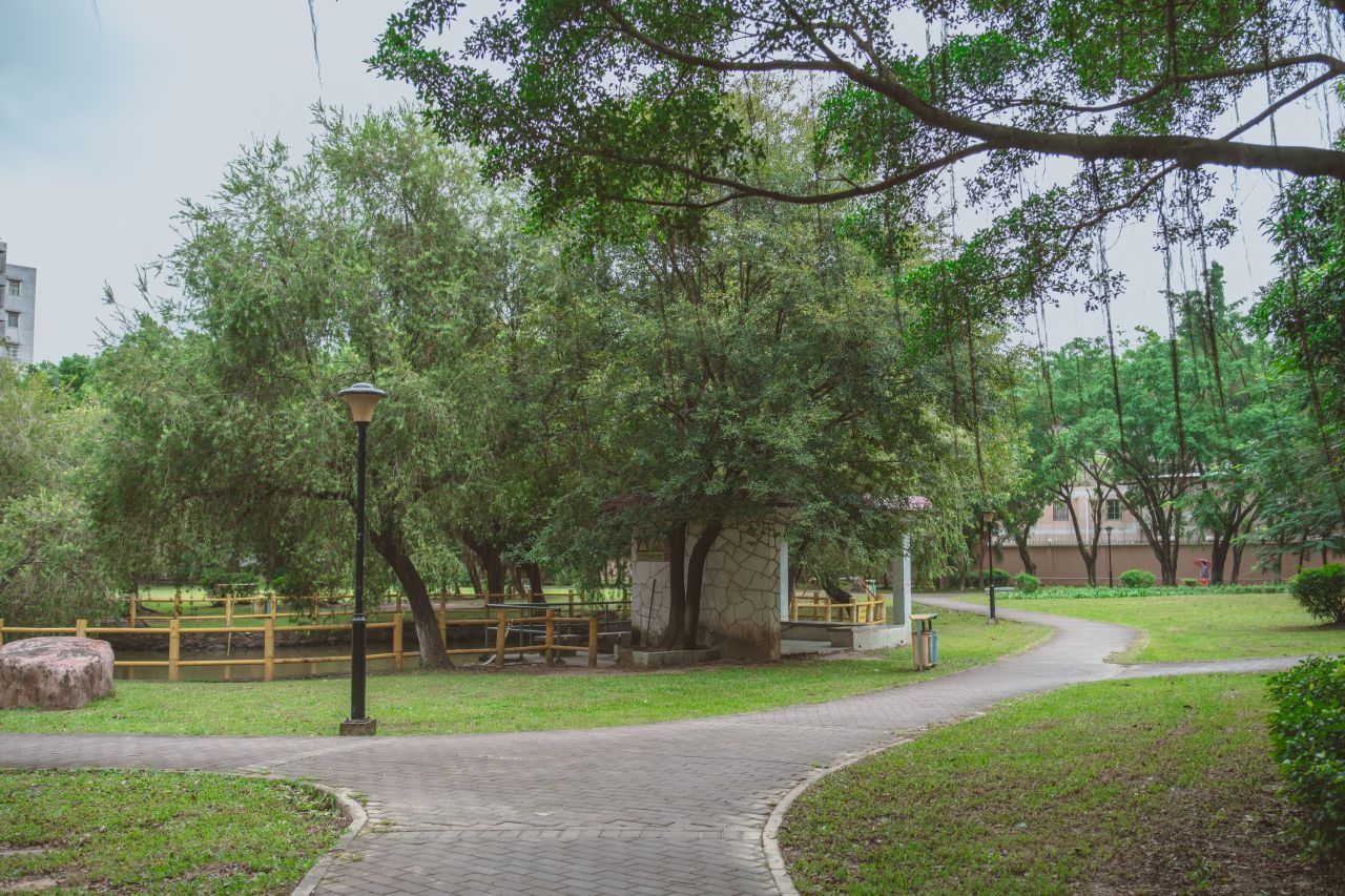 不期而遇不慎的小雨滴 不期而遇不慎的小雨滴