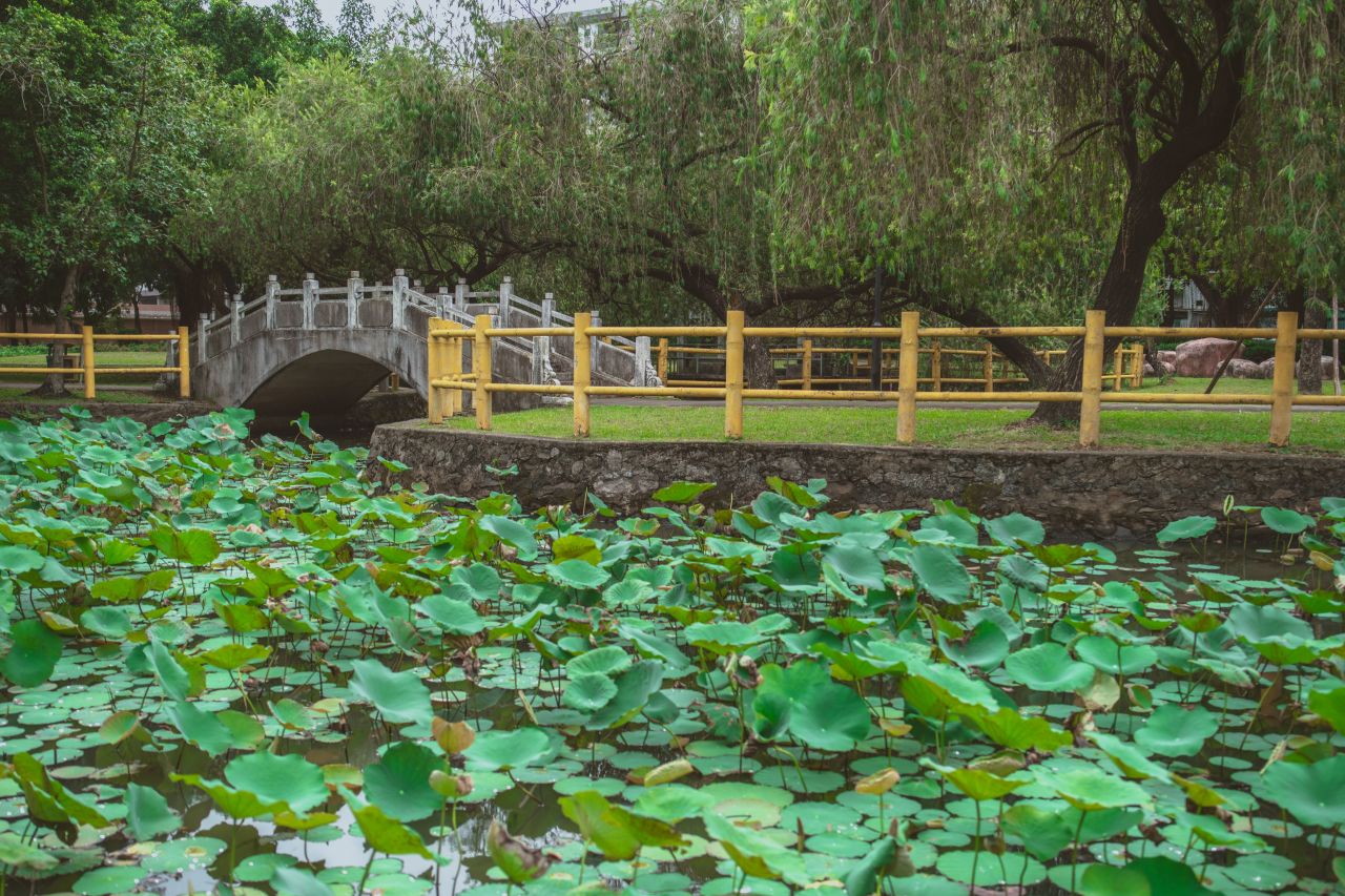 不期而遇不慎的小雨滴 不期而遇不慎的小雨滴