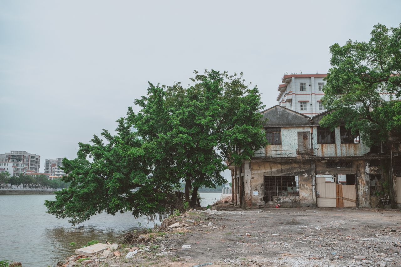 久未相闻的相约 久未相闻的相约