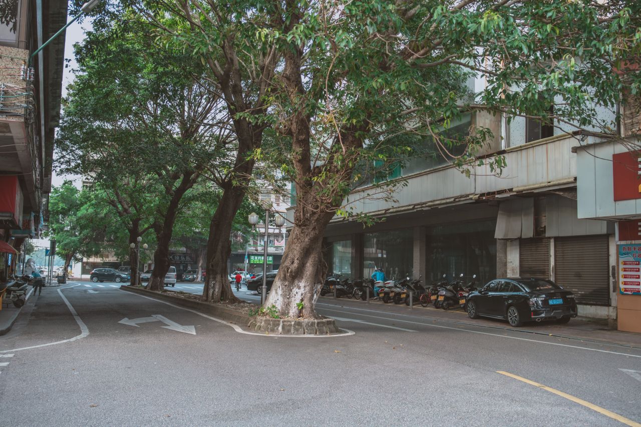 一镜定三埠之新昌路线 一镜定三埠之新昌路线