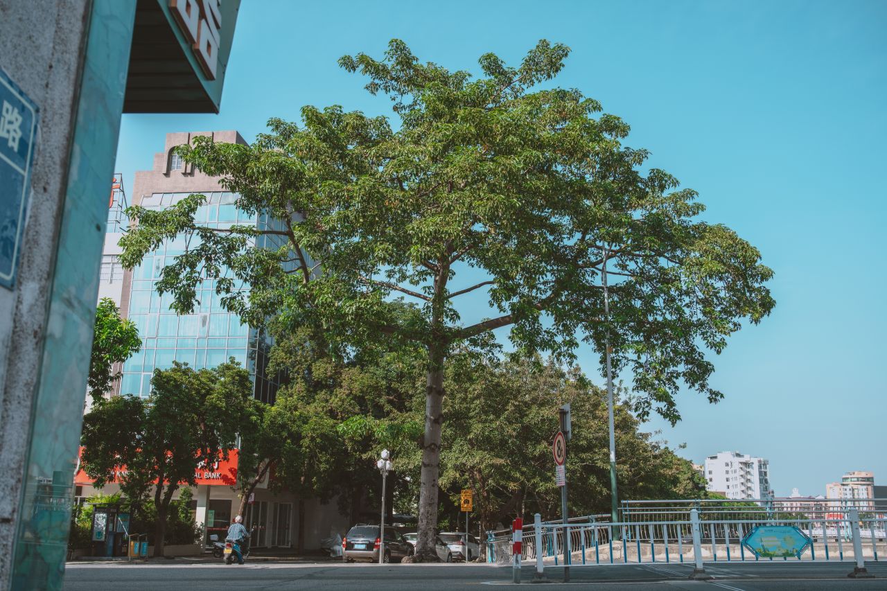 一镜定三埠之长沙路线 一镜定三埠之长沙路线