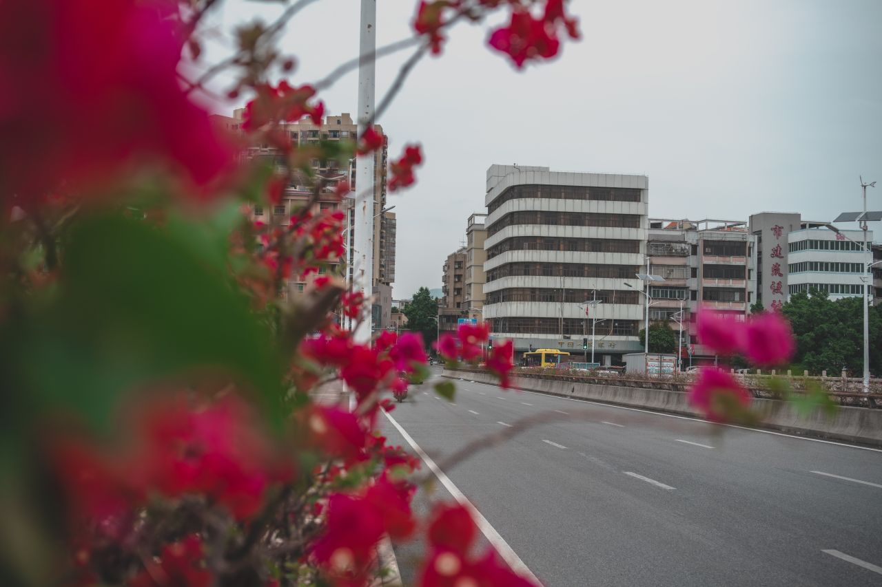 一镜定三埠之被遗忘的大钟楼 一镜定三埠之被遗忘的大钟楼