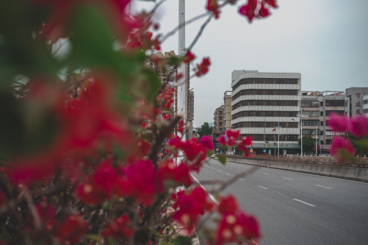 一镜定三埠之被遗忘的大钟楼 一镜定三埠之被遗忘的大钟楼