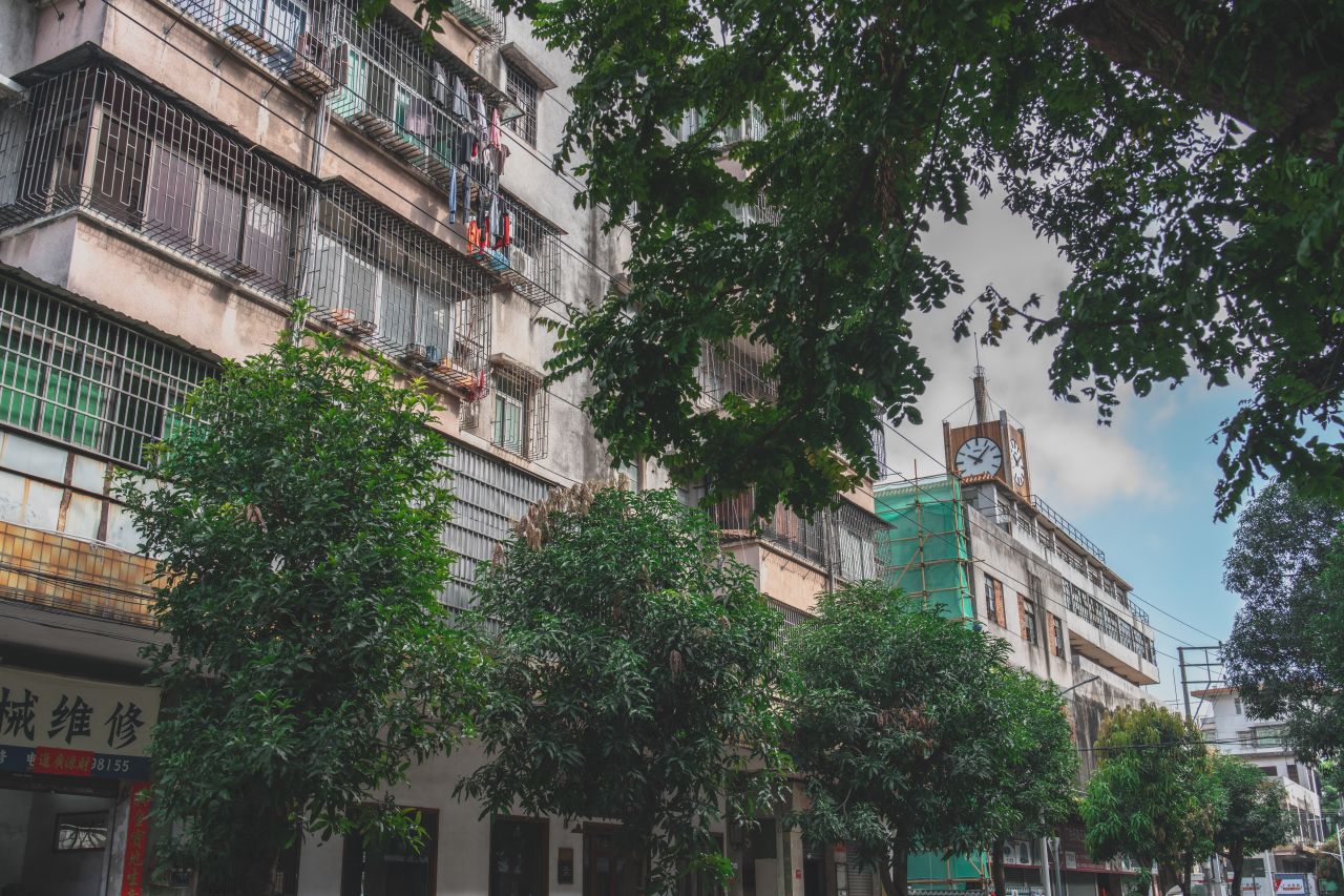 一镜定天下之征服大开平 一镜定天下之征服大开平