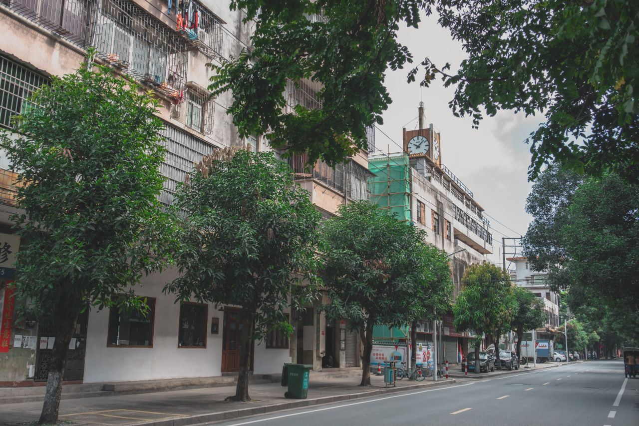 一镜定天下之征服大开平 一镜定天下之征服大开平