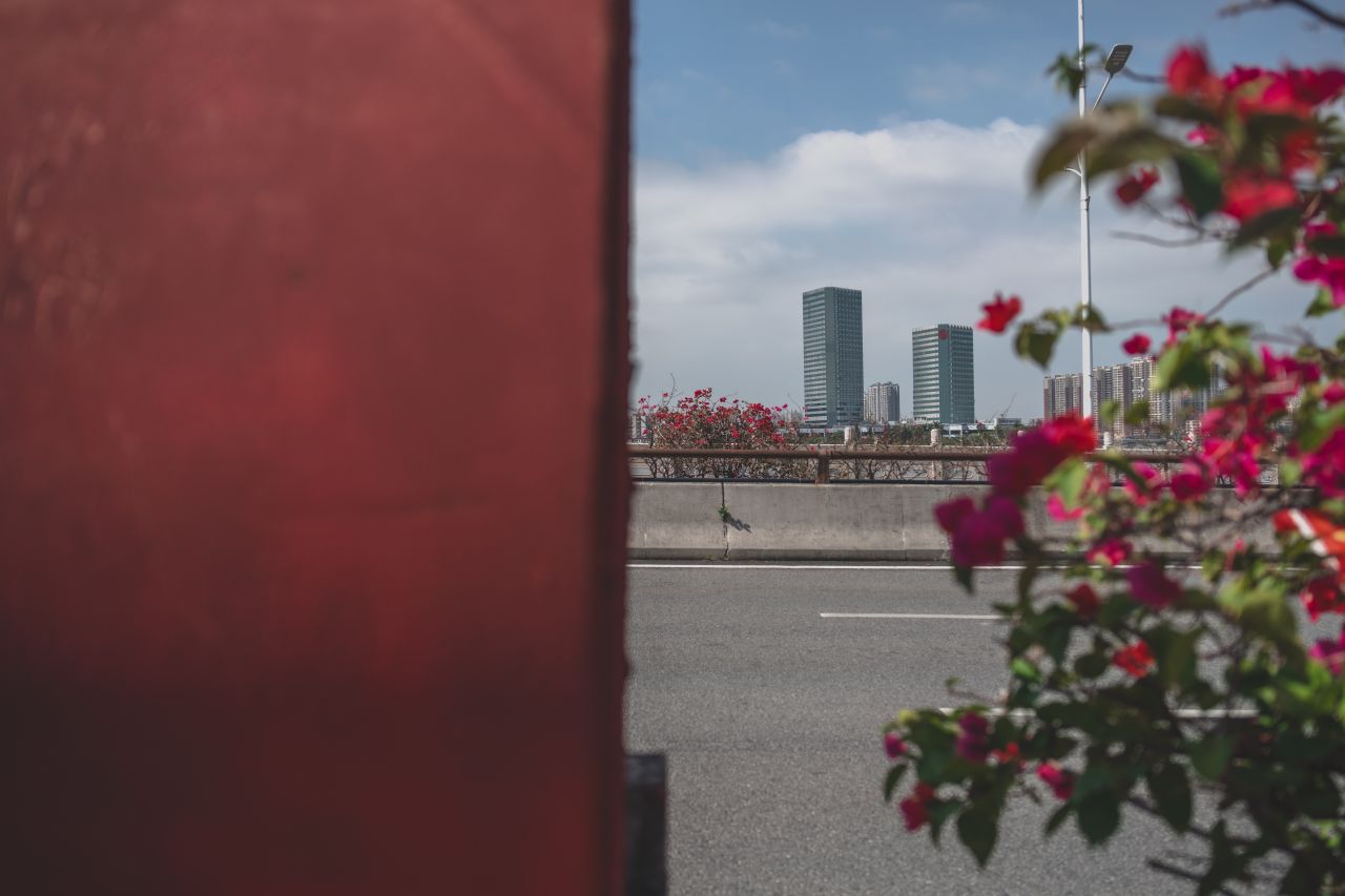 一镜定天下之征服大开平 一镜定天下之征服大开平