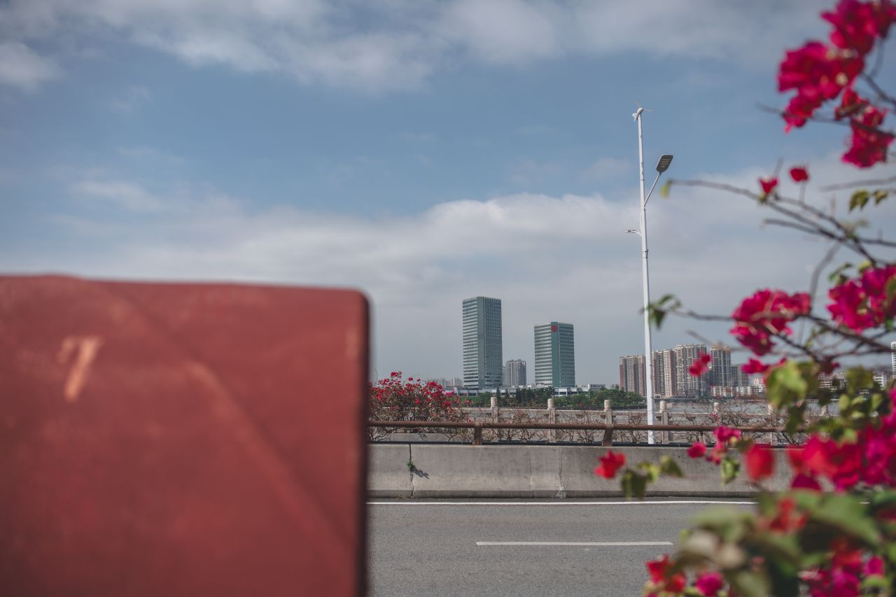 一镜定天下之征服大开平 一镜定天下之征服大开平