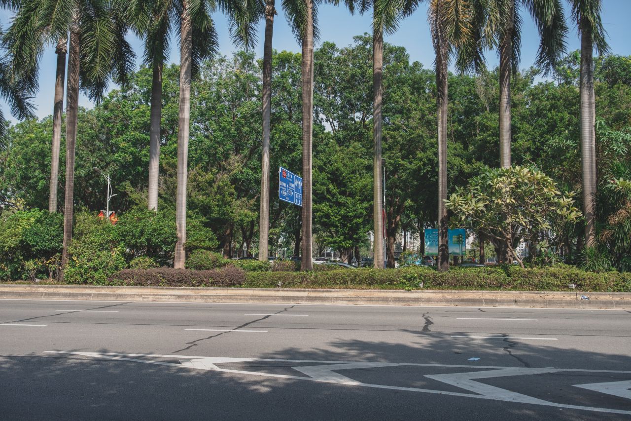 一镜定天下之征服大开平 一镜定天下之征服大开平