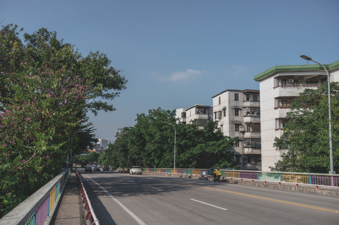 一镜定天下之征服大开平 一镜定天下之征服大开平