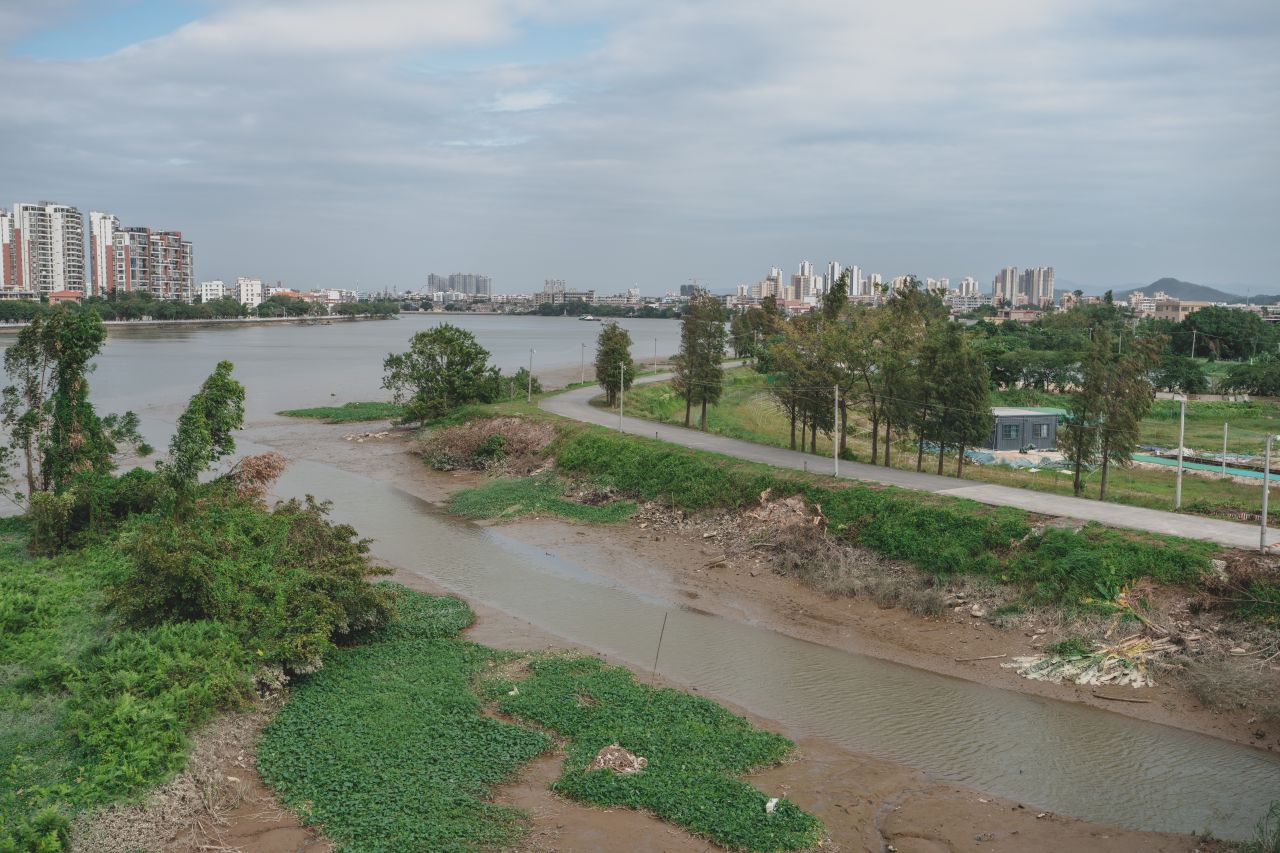 三埠大桥的沿岸风光 三埠大桥的沿岸风光