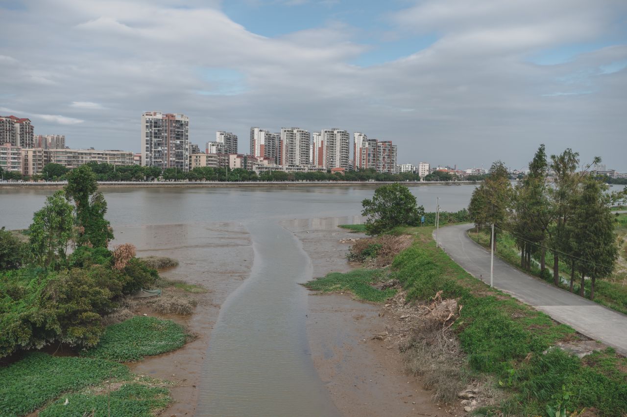 三埠大桥的沿岸风光 三埠大桥的沿岸风光