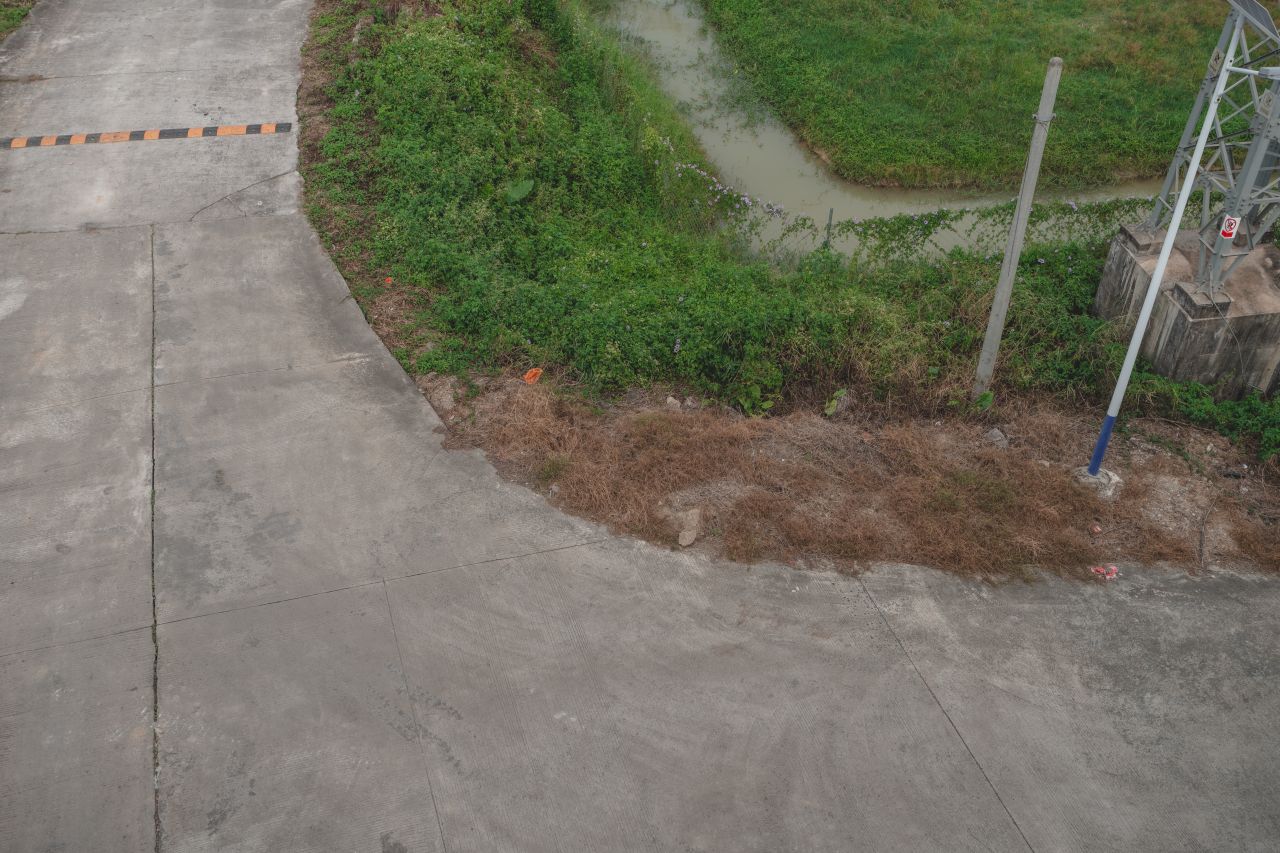 三埠大桥的沿岸风光 三埠大桥的沿岸风光