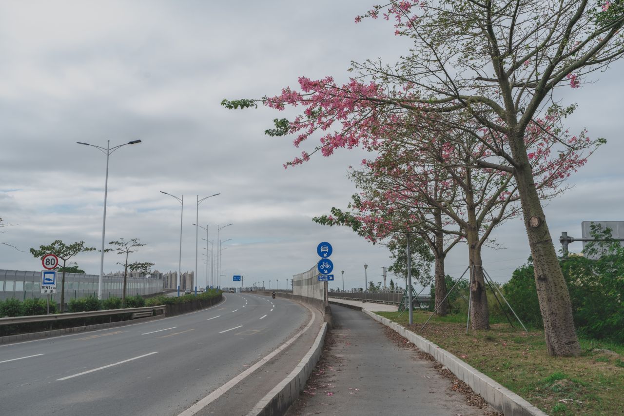 三埠大桥的沿岸风光 三埠大桥的沿岸风光