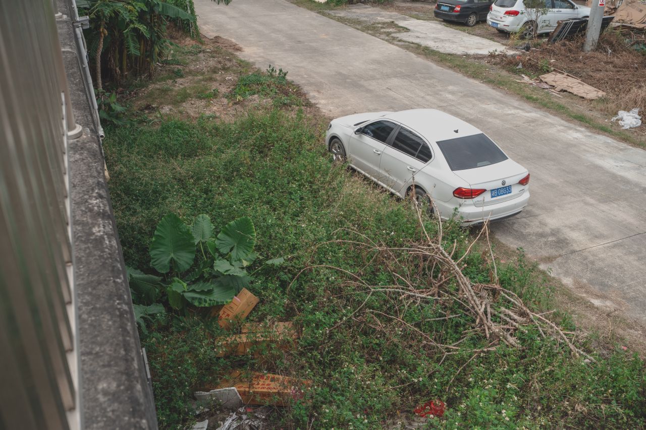 三埠大桥的沿岸风光 三埠大桥的沿岸风光