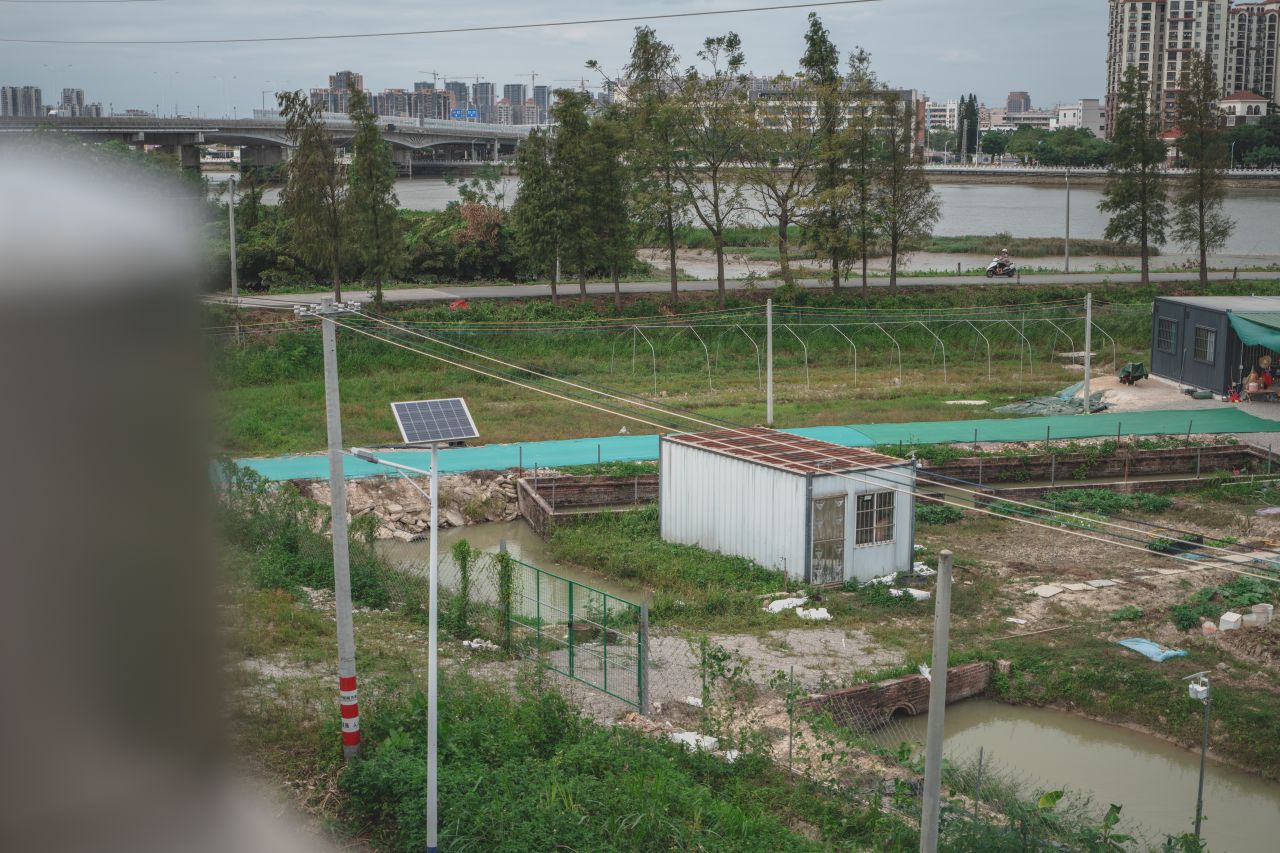 三埠大桥的沿岸风光 三埠大桥的沿岸风光