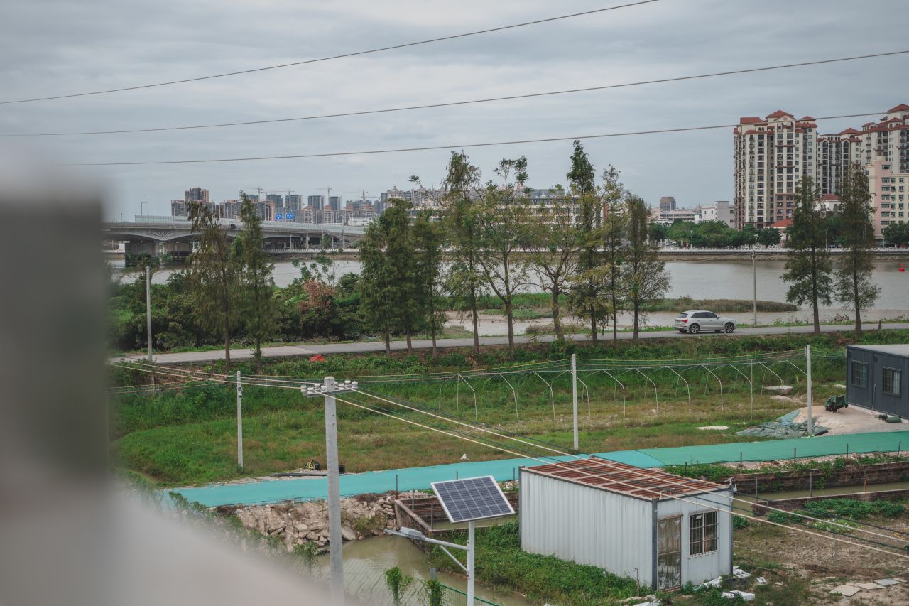 三埠大桥的沿岸风光 三埠大桥的沿岸风光