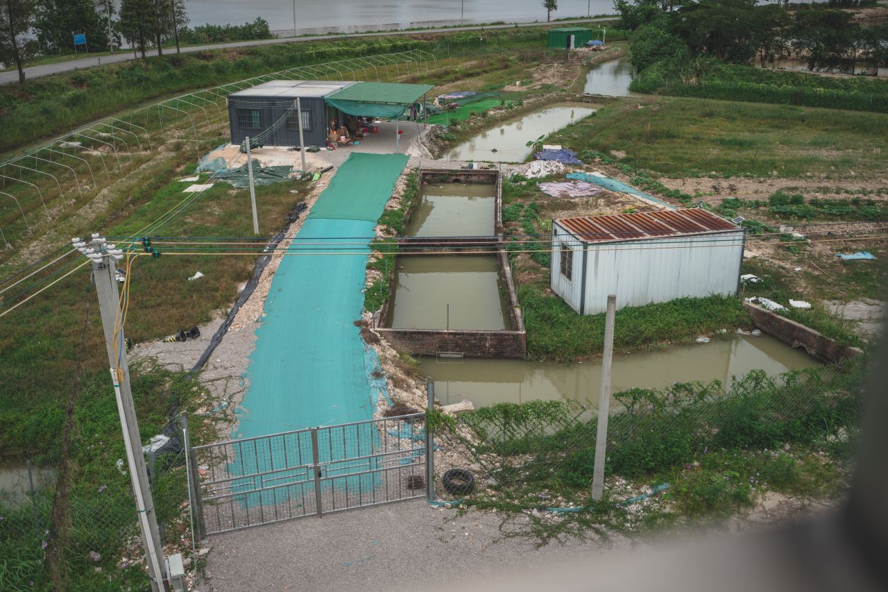 三埠大桥的沿岸风光 三埠大桥的沿岸风光