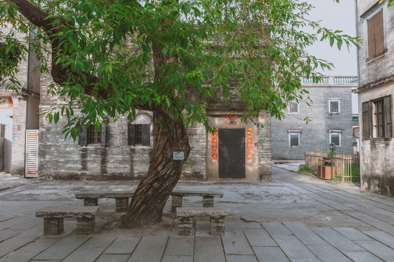 那些不为人知的秘密，自力更生村