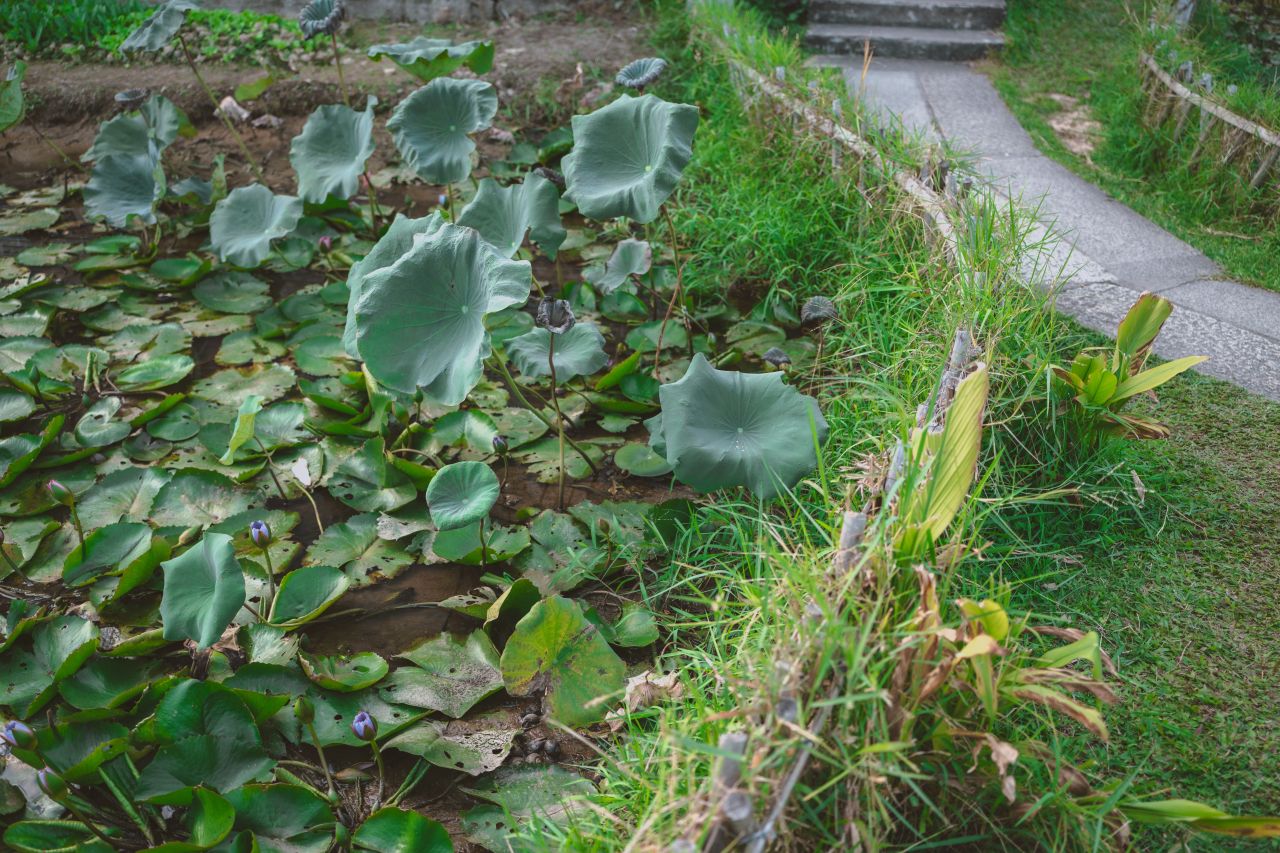 那些不为人知的秘密，自力更生村