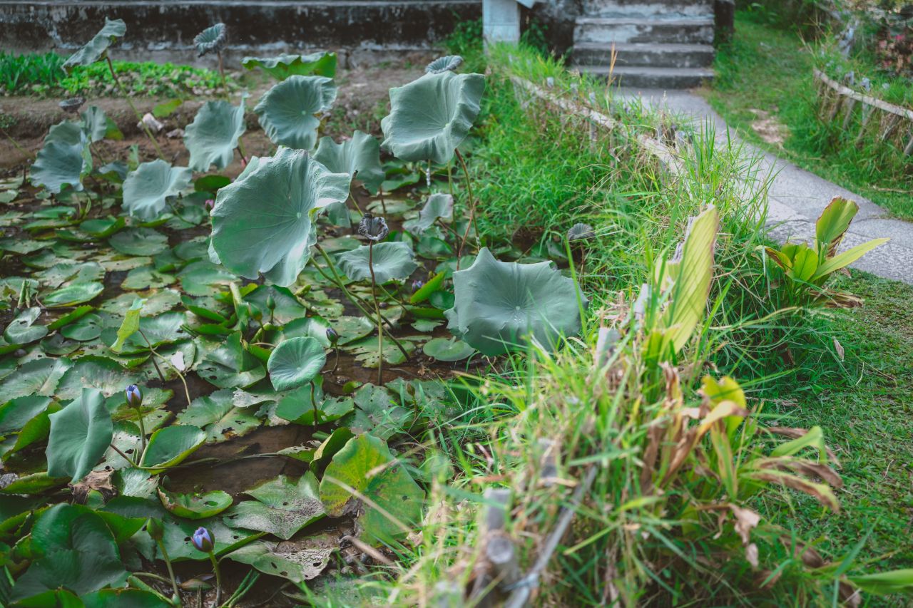 那些不为人知的秘密，自力更生村