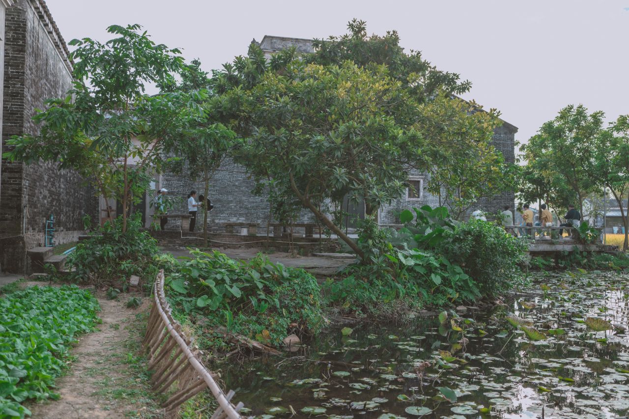 那些不为人知的秘密，自力更生村