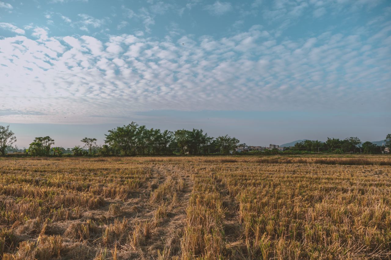 那些不为人知的秘密，自力更生村 自立更生村