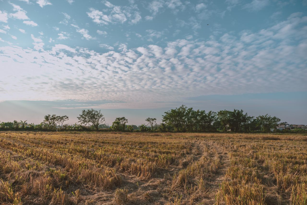 那些不为人知的秘密，自力更生村 自立更生村