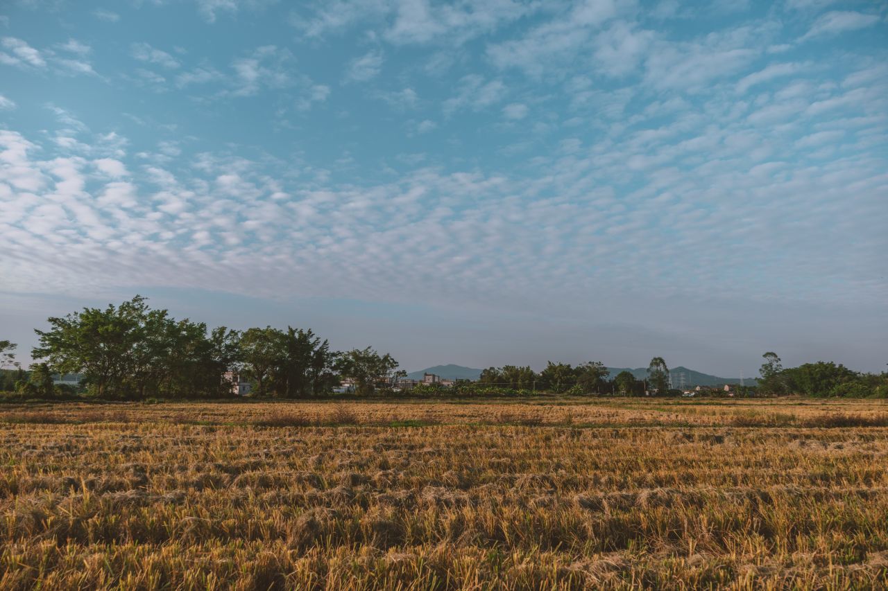 那些不为人知的秘密，自力更生村 自立更生村