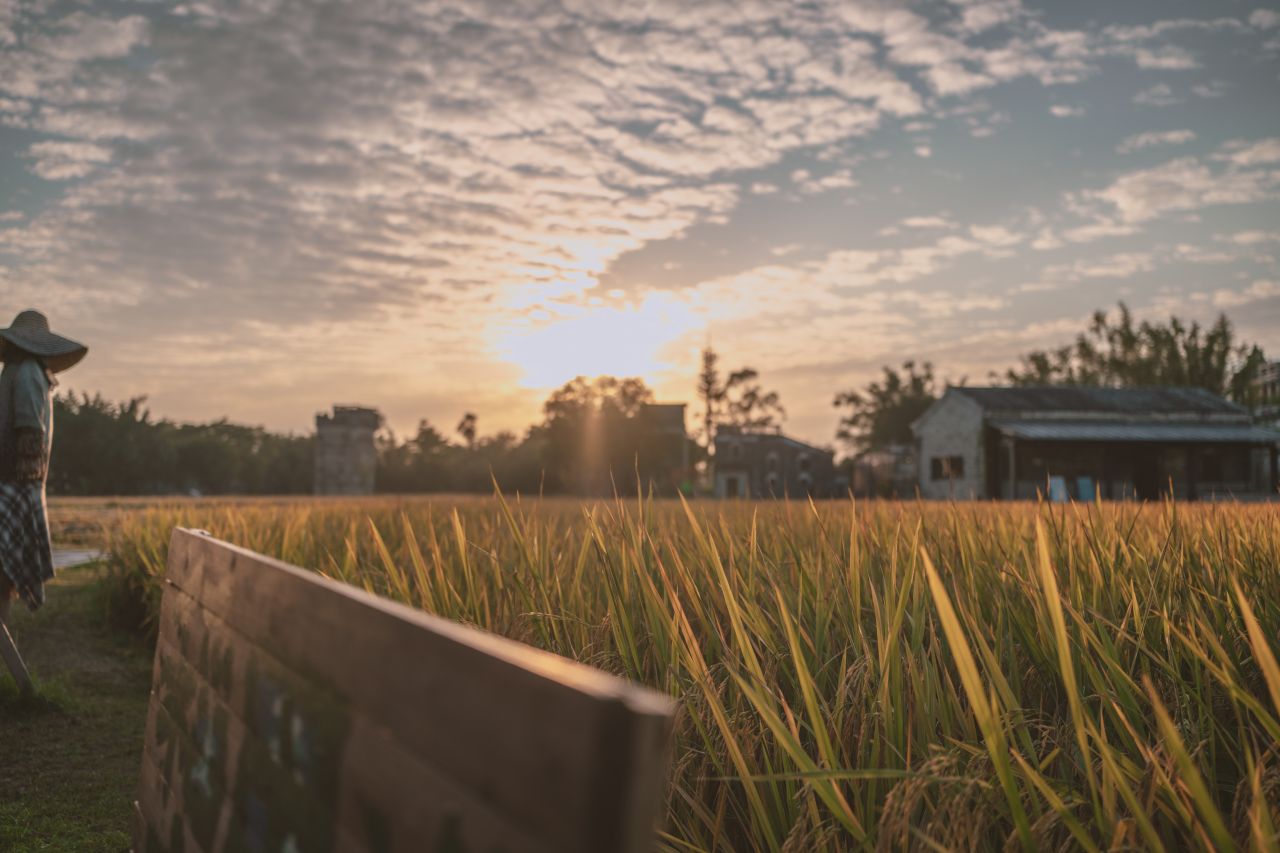 那些不为人知的秘密，自力更生村 自立更生村